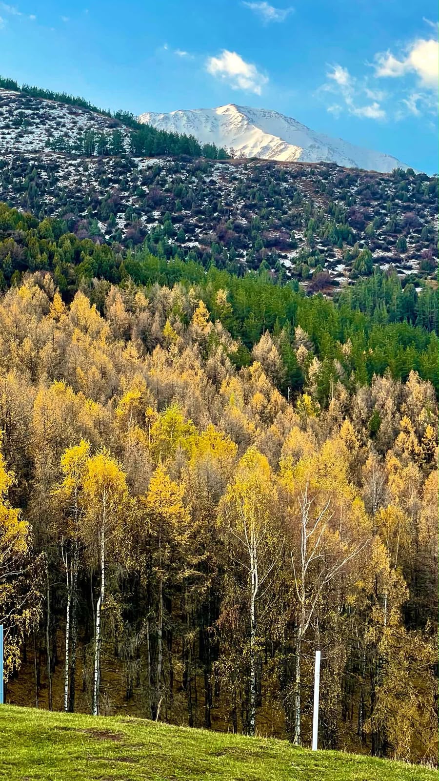 Snow-capped Tian Shan mountains above an autumn forest, Kyrgyzstan